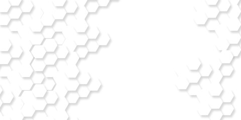 Background with hexagons . Abstract background with lines . white texture background . white and hexagon abstract background. white paper texture and futuristic business .