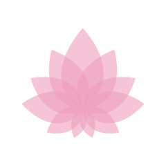 Pink lotus flower isolated on white background