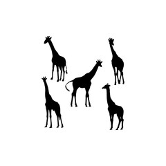 Giraffe set silhouette icon logo
