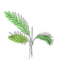 Obraz premium One single line drawing palm faux areca leaf vector illustration. Tropical leaves minimalistic style, floral pattern concept for poster, wall decor print. Modern continuous line graphic draw design
