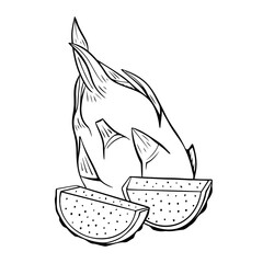 Pitaya fruits outline, drawing monochrome illustration. Summer fruits for healthy lifestyle. Vector illustration