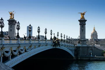 Fotobehang Pont Alexandre III Alexander iii bridge in Paris, France