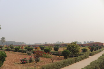 Fototapeta premium v