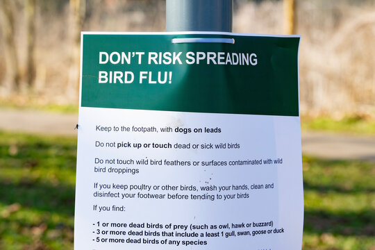 bird flu danger sign
