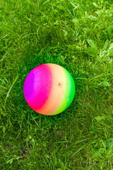 Multicolored ball close-up on the background of green grass in summer