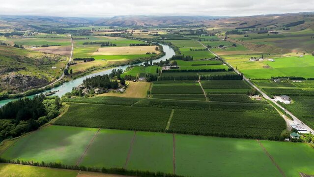 Aerial panning view of green and cultivated fields in Roxburgh area: New Zealand