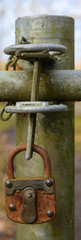 verrostetes Vorhängeschloss an Gatter