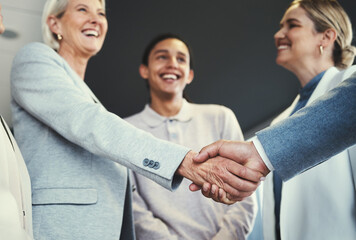 Handshake, acquisition and senior business people at investment deal, b2b contract agreement or...