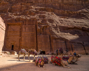Petra tour