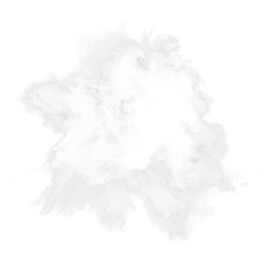 abstract powder splatted background. white powder explosion on transparent background.
Colored...
