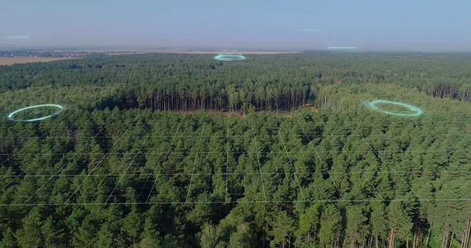 The concept of modern logging. Visualization of the modern logging industry. Woodcutting with modern equipment. Legal logging from a drone.