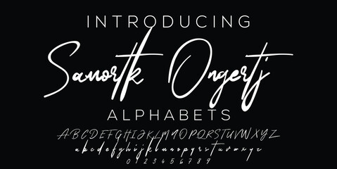 Signature Font Calligraphy Logotype Script Brush Font Type Font lettering handwritten