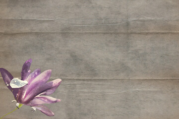 Ilustracja kwiat magnolii na jasnym brązowym tle	
