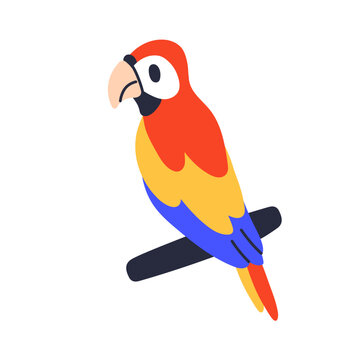 Parrot on branch. Jungle tropical ara, paradise bird. Exotic colorful macaw sitting on twig. Hawaiian parakeet with colored bright feathers. Flat vector illustration isolated on white background