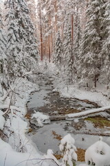 Winter landscape with snow-covered trees, a river in the forest