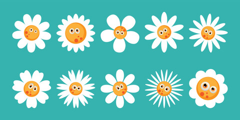 A set of white daisies with eyes of different shapes.