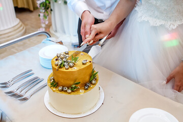Obraz na płótnie Canvas bride and groom holding wedding cake. Wedding cake. Yellow shiny cake with berries. wedding celebration with cake.