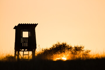 Hunting stand during beautiful sunset, useful for hunting magazines, articles, news