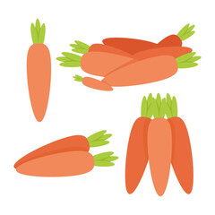 Set of various orange carrots