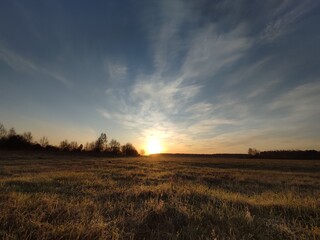 the sun rises from the horizon on an early spring morning in a yellow field