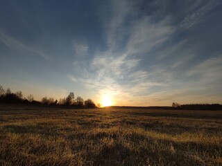 Fototapeta premium the sun rises from the horizon on an early spring morning in a yellow field