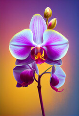 Beautiful orchid. Spring flower collection.