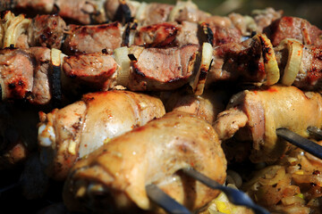 barbecue of chicken and pork on skewers in nature