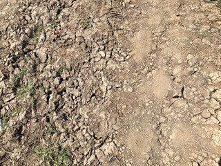 Texture of dry cracked land El Niño