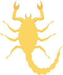 desert scorpio and zodiac