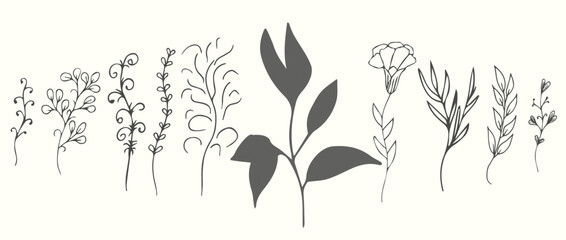 Floral branches for logo or decoration. Minimalistic wedding flowers, grass and leaves for invitation, save the date card. Hand drawing.