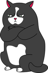 Animal character angry black fat cat - obrazy, fototapety, plakaty