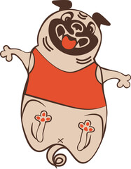 Obraz premium Funny animal character mister pug in red tank top