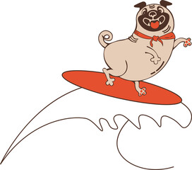 Funny animal character surfing pug summer vacation on a beach
