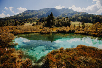 Slowenien - türkisfarbenen Quellsee im Naturreservat Zelenci