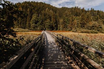 Fototapeta premium Slowenien - Naturreservat Zelenci