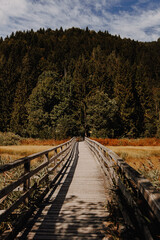 Slowenien - Naturreservat Zelenci