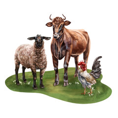 Composition of black sheep, red bull and gray rooster. From fermer's composition