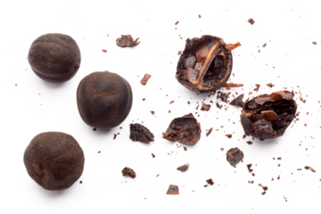 black lemon isolated, png file