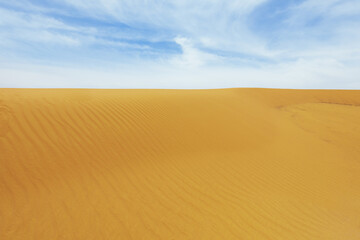 Fototapeta na wymiar Desert dunes, a beautiful shade of yellow