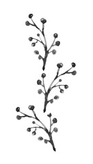 Black on white Hand drawn watercolor Branch with leaves. Floral simple illustration. Botanical ink contour. Minimalism line art.