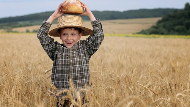 A small boy in a straw hat holding bread appears in the middle of a wheat field. Agriculture, farming.