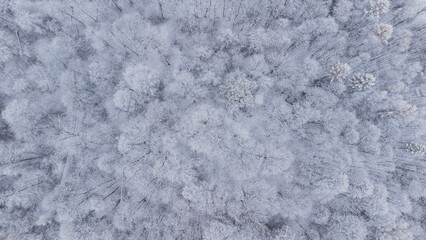 Snowy untouched forest in the Beskydy mountains from an aerial photo in the east of the Czech Republic. White landscape