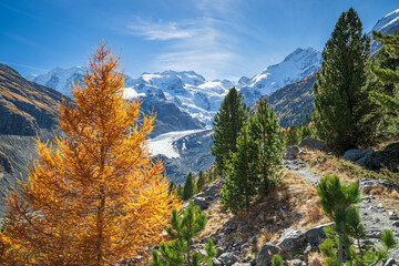 Herbststimmung am Morteratschgletscher, Glatscher dal Morteratsch, Pontresina, Engadin, Graubünden, Schweiz 