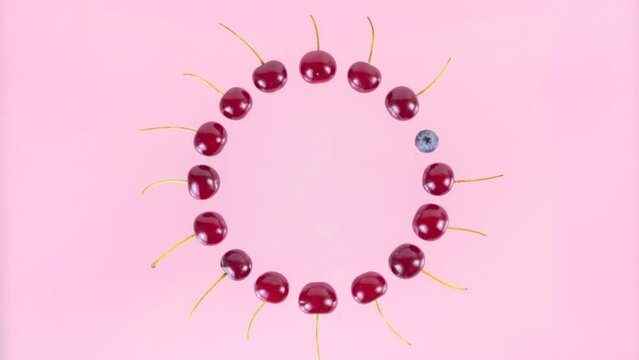 4k Ripe cherries arranged in a circle alternately turn into blueberries. Pink background. Concept of berries season and proper nutrition. Copy space. Flat lay. Stop motion animation.