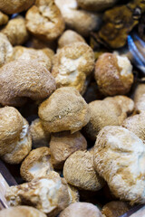  Lion's mane mushroom. Dried Hericium erinaceus for cooking in Chinese cuisine. Selected focus