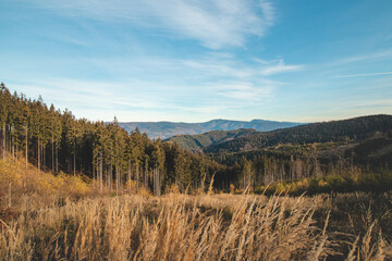 Morning sun illuminates the tall grass and beautiful scenery of eastern Bohemia in the Moravian-Silesian region of the Beskydy Mountains. A beautiful awakening to the next day