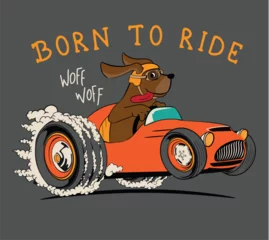 Foto op Canvas cartoon dog driving a hot rod car © basws