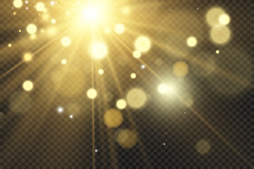 	
Brilliant gold dust vector shine. Glittering shiny ornaments for background. Vector illustration.	