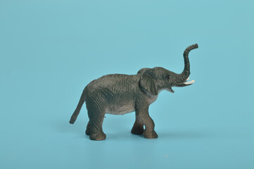 Black toy elephant isolated on a blue background.