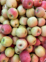 a lot of ripe apples food vitamins healthy nutrition as a background